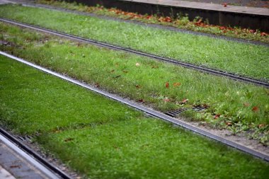 Şehirdeki tramvay rayları, Strasbourg