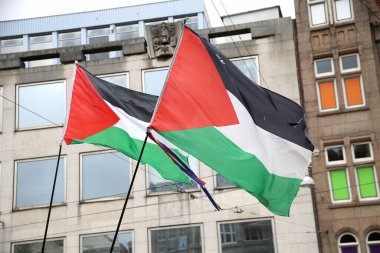 Filistinli Amsterdam 'da bayrak sallıyor