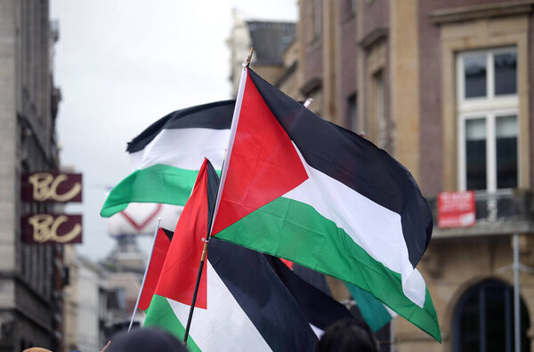 Palestinian waving flags in Amsterdam