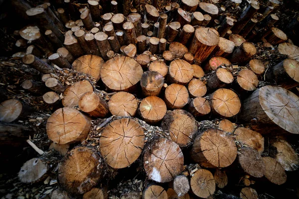 Högen Eller Stapel Naturliga Ved Stockar Textur Bakgrund Abstrakt Foto — Stockfoto