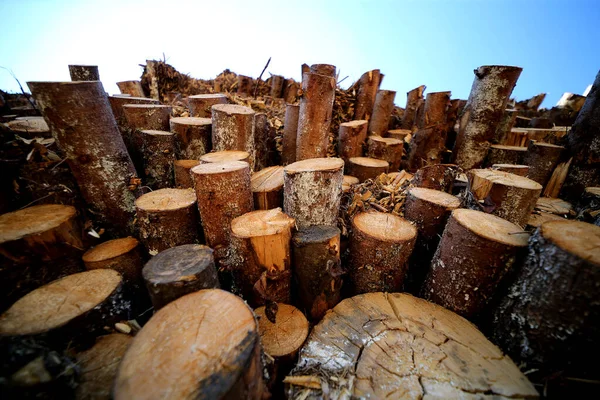 Högen Eller Stapel Naturliga Ved Stockar Textur Bakgrund Abstrakt Foto — Stockfoto