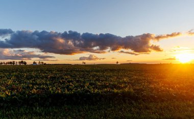Dramatic sunset sky with colorful clouds over a peaceful rural landscape. Warm evening light illuminates the horizon, creating a calm and natural countryside atmosphere