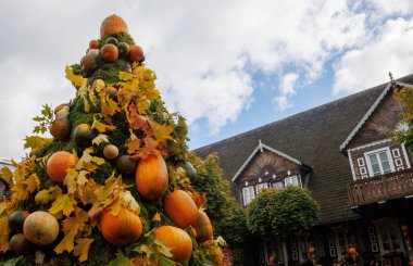 Beautiful autumn garden decorated with pumpkins and colorful leaves. Creative fall composition with pumpkin tree, arch and seasonal plants, celebrating harvest and Halloween moo