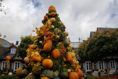 Beautiful autumn garden decorated with pumpkins and colorful leaves. Creative fall composition with pumpkin tree, arch and seasonal plants, celebrating harvest and Halloween moo
