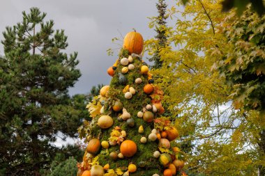Beautiful autumn garden decorated with pumpkins and colorful leaves. Creative fall composition with pumpkin tree, arch and seasonal plants, celebrating harvest and Halloween moo