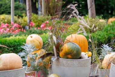 Colorful autumn decorations with pumpkins, flowers and seasonal plants in a cozy countryside garden. Natural fall composition symbolizing harvest, warmth and festive mood.