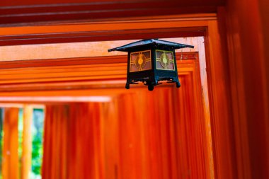Japonya 'nın Kyoto kentindeki Fushimi Inari Tapınağı, binlerce kırmızı torii kapısı ile biliniyor. Ormanda manzaralı yollar oluşturuyorlar ve kutsal Shinto alanlarına girişi simgeliyorlar.
