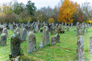 Kdainiai, Litvanya 28 Ekim 2025: Birçok yıpranmış taş mezar taşı yosun ve liken kaplı eski Yahudi mezarlığı. Bölgedeki Yahudi cemaatinin anılarını ve tarihini temsil eden tarihi bir kültür mirası..