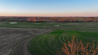 Yeşil tarlaları, yapraksız ağaçları ve yumuşak pembe günbatımı ışığıyla huzurlu bir bahar manzarası. Katmanlı ve doğal renklere sahip kırsal tarım manzarası, sakin atmosfer ve geniş ufuk..