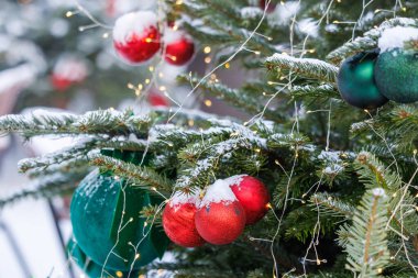 Kar, kırmızı ve yeşil süslemeler ve küçük ışıklarla süslenmiş ebedi yeşil dalları kaplamıştır. Doğal kış atmosferi, sığ alan derinliği ve yumuşak mevsimsel arka plan. Tatil ve kış kavramlarına uygundur.