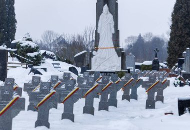 Kedainiai, Litvanyalı gönüllü askerlerden oluşan Litvanya sıraları karla kaplı ve Kedainiai 'deki bir mezarlıkta Litvanya üç renkli kurdelelerle işaretlenmiş. Sahne, anıları, ulusal tarihi ve ona olan saygıyı yansıtıyor.