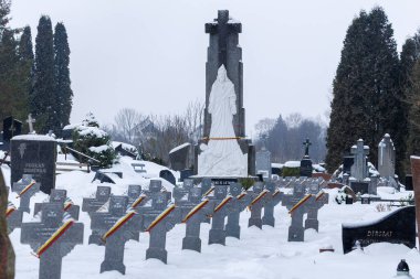 Kedainiai, Litvanyalı gönüllü askerlerden oluşan Litvanya sıraları karla kaplı ve Kedainiai 'deki bir mezarlıkta Litvanya üç renkli kurdelelerle işaretlenmiş. Sahne, anıları, ulusal tarihi ve ona olan saygıyı yansıtıyor.