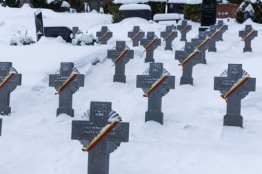 Kedainiai, Litvanyalı gönüllü askerlerden oluşan Litvanya sıraları karla kaplı ve Kedainiai 'deki bir mezarlıkta Litvanya üç renkli kurdelelerle işaretlenmiş. Sahne, anıları, ulusal tarihi ve ona olan saygıyı yansıtıyor.