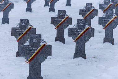 Kedainiai, Litvanyalı gönüllü askerlerden oluşan Litvanya sıraları karla kaplı ve Kedainiai 'deki bir mezarlıkta Litvanya üç renkli kurdelelerle işaretlenmiş. Sahne, anıları, ulusal tarihi ve ona olan saygıyı yansıtıyor.