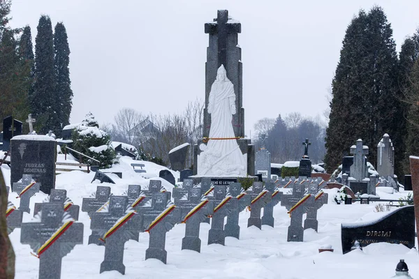 Kedainiai, Litvanyalı gönüllü askerlerden oluşan Litvanya sıraları karla kaplı ve Kedainiai 'deki bir mezarlıkta Litvanya üç renkli kurdelelerle işaretlenmiş. Sahne, anıları, ulusal tarihi ve ona olan saygıyı yansıtıyor.