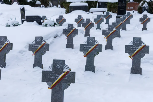 Kedainiai, Litvanyalı gönüllü askerlerden oluşan Litvanya sıraları karla kaplı ve Kedainiai 'deki bir mezarlıkta Litvanya üç renkli kurdelelerle işaretlenmiş. Sahne, anıları, ulusal tarihi ve ona olan saygıyı yansıtıyor.