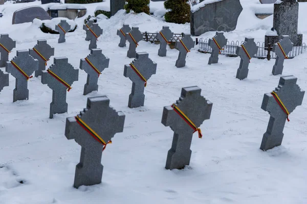 Kedainiai, Litvanyalı gönüllü askerlerden oluşan Litvanya sıraları karla kaplı ve Kedainiai 'deki bir mezarlıkta Litvanya üç renkli kurdelelerle işaretlenmiş. Sahne, anıları, ulusal tarihi ve ona olan saygıyı yansıtıyor.