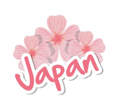 Japonya kültür tasarım