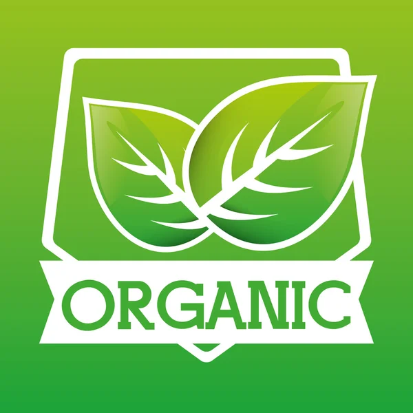 Органический и натуральный продукт — стоковый вектор