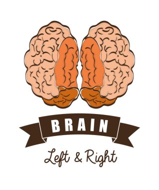 Düşünme ve beyin tasarım