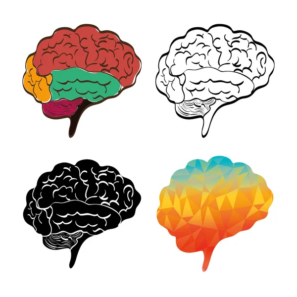 Pensamiento y diseño cerebral — Vector de stock
