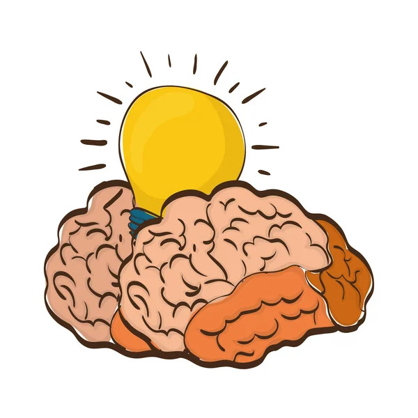 Düşünme ve beyin tasarım