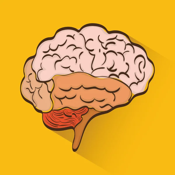 Myślenia i mózgu — Wektor stockowy