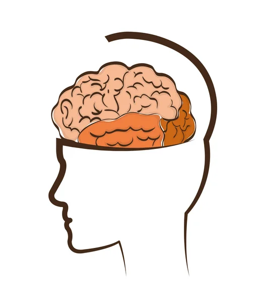 Myślenia i mózgu — Wektor stockowy