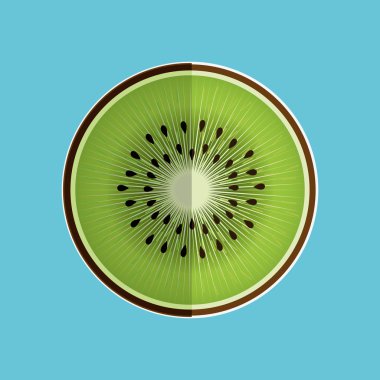 meyve daire tasarım, vektör çizim üzerinde