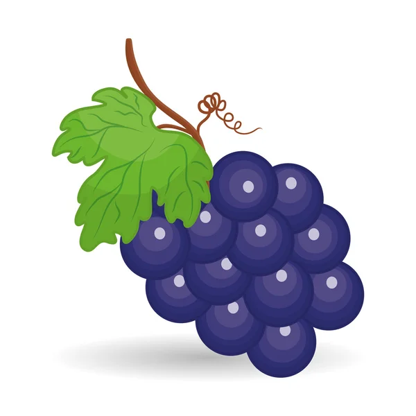 Diseño de icono de uva — Vector de stock