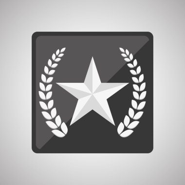 Askeri yıldız tasarım, vektör çizim