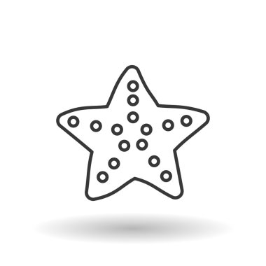 Deniz yıldızı tasarım