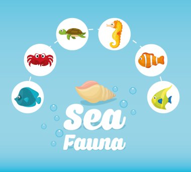 Deniz Fauna grafik tasarım, vektör çizim