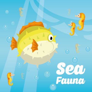 Deniz Fauna grafik tasarım, vektör çizim