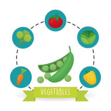 Vegetable design over white background, vector illustration