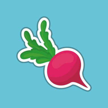 Vegetable design over white background, vector illustration