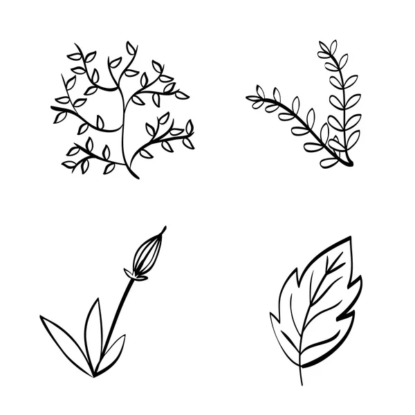 Floral design. Doodle illustration.  white background — Stock Vector