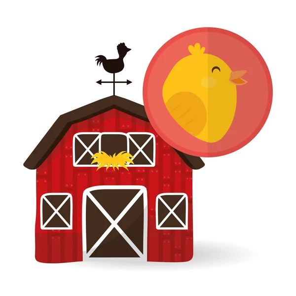 Farm  design. animal  icon. white background — Stock Vector