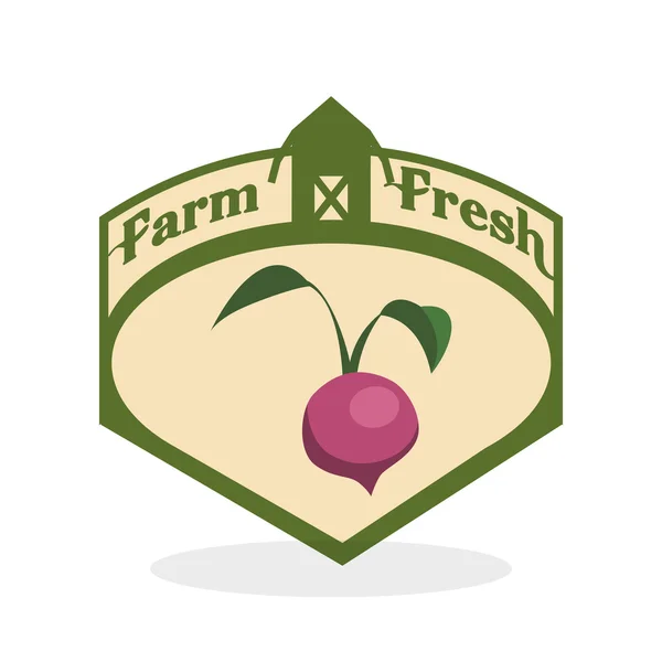 Farm fräsch design. Ekologiska livsmedel. Hälsosam livsstilskoncept — Stock vektor