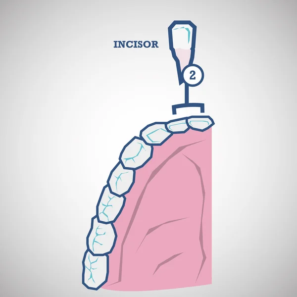 Desenho de cuidados dentários. conceito de saúde. ícone de cuidados médicos — Vetor de Stock