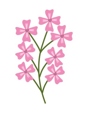 Çiçek tasarım. Bahçe kavramı. Renkli resimde