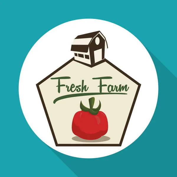 Granja Diseño fresco. Comida ecológica. concepto de estilo de vida saludable — Vector de stock