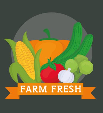 Çiftlik taze tasarım. Organik gıda simgesi. Renkli resimde, vektör