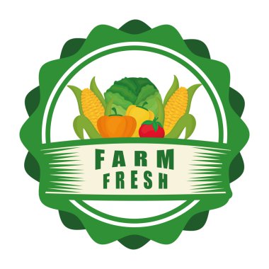 Çiftlik taze tasarım. Organik gıda simgesi. Renkli resimde, vektör