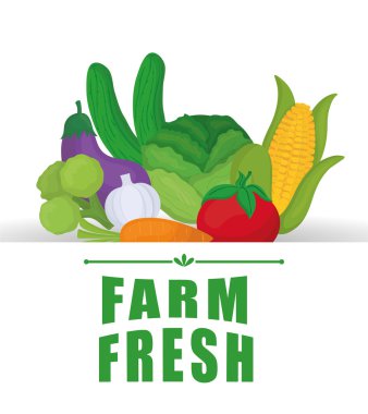 Çiftlik taze tasarım. Organik gıda simgesi. Renkli resimde, vektör