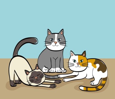 kedi tasarım. hayvan kavramı. düz illüstrasyon, vektör