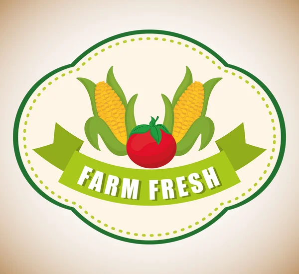 Farm fräsch design. ikonen för ekologiska livsmedel. Färgglad illustration, vektor — Stock vektor