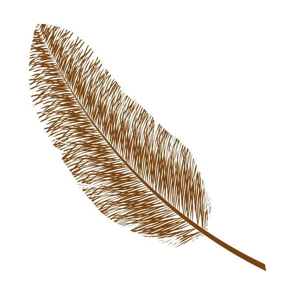 Feather design. isolated  bohemic plume, vector graphic — 스톡 벡터