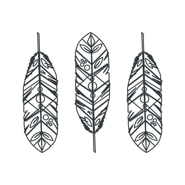 Feather design. isolated  bohemic plume, vector graphic