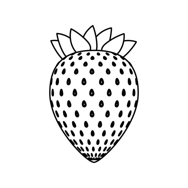 Aliments sains et biologiques. icône de fruit. graphique vectoriel — Image vectorielle